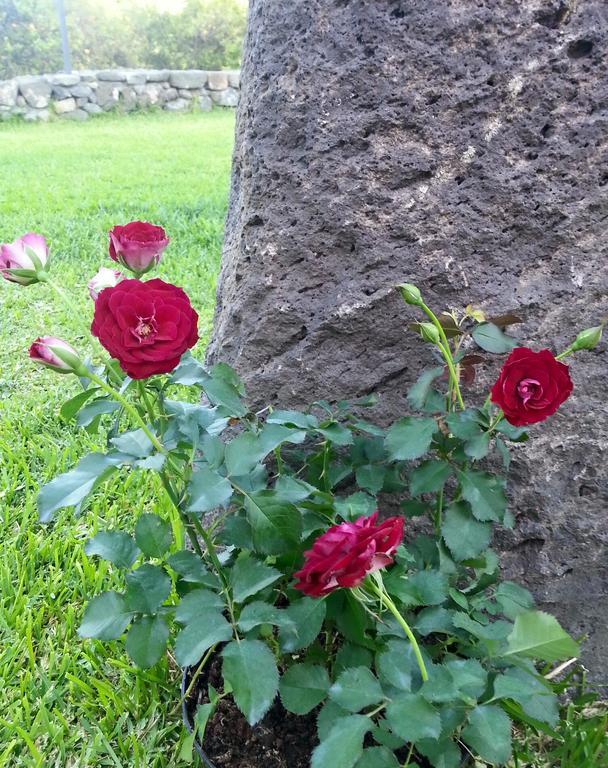 Willa Il Giardino Degli Ovali Fiumefreddo di Sicilia Zewnętrze zdjęcie